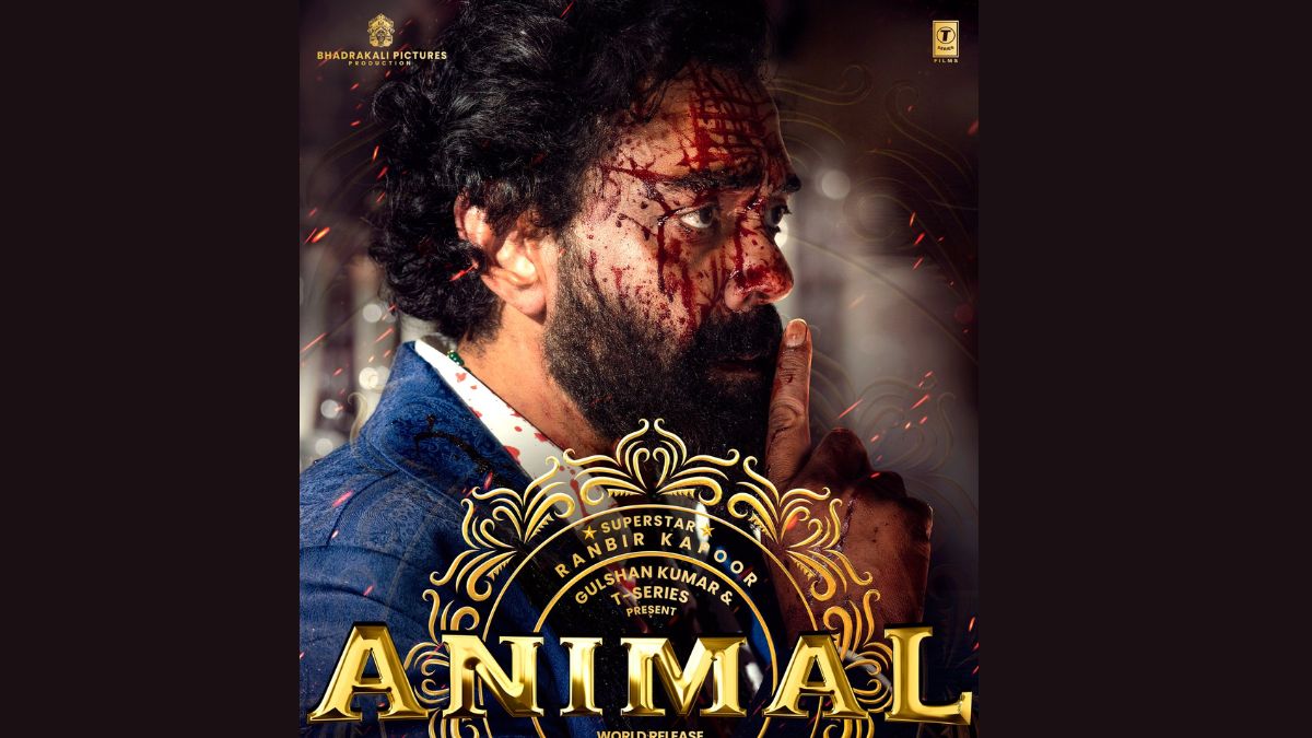 Animal