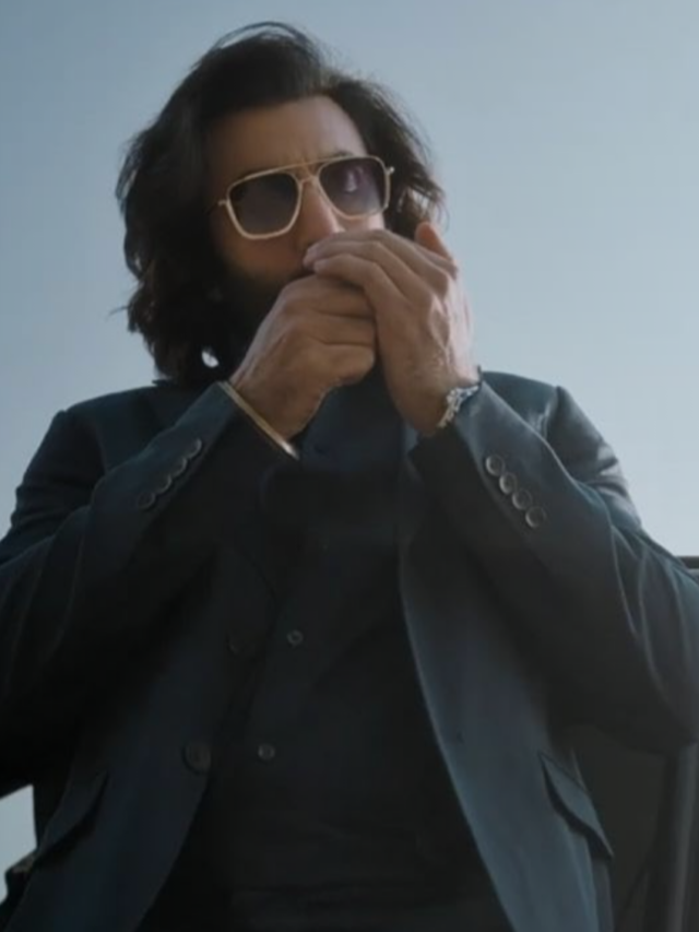 Top 6 Bollywood Movies of 2023 by Box Office Collection