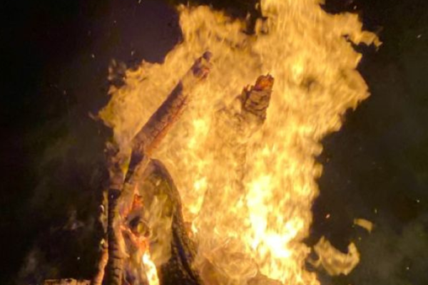40 दिनों का रंगों का उत्सव, बृज होली महोत्सव