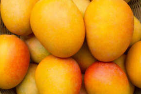 Mango-banner