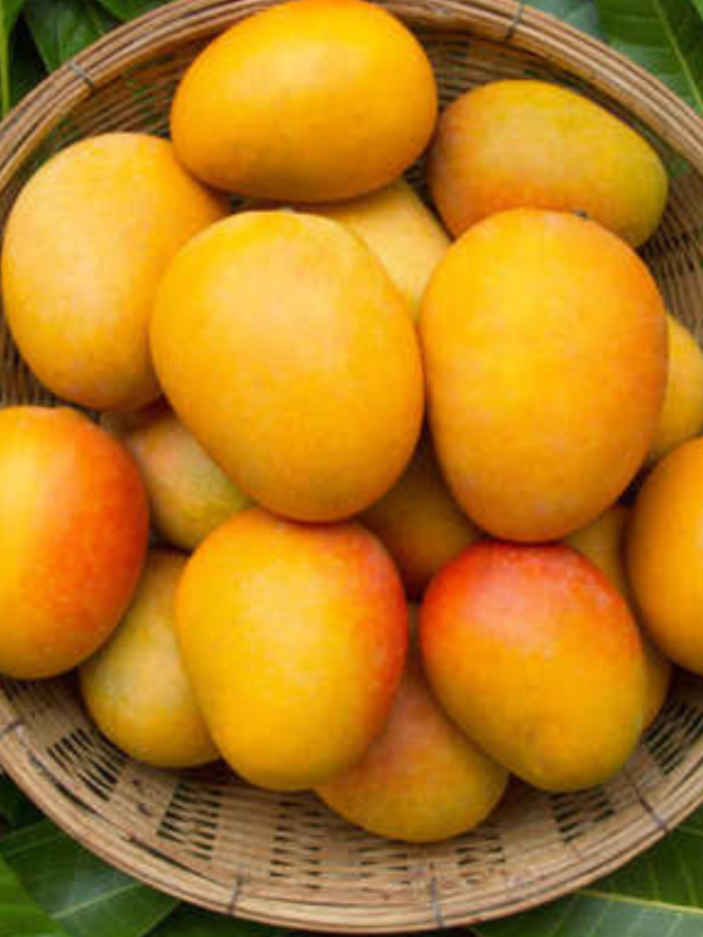 Beyond Alphonso: Must-Try Indian Mangoes